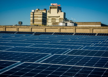 Sociedade Central de Cervejas investe na produção de energia solar