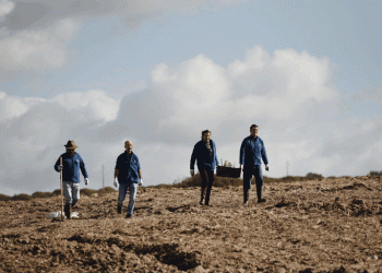 Corticeira Amorim junta-se à Quercus na plantação de 2 mil sobreiros em Alcácer do Sal