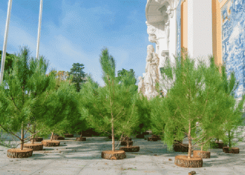 Pinheiros da Rnters já permitiram entregar 29 mil euros aos bombeiros portugueses