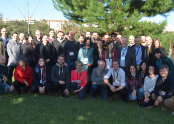 Apicultura sustentável: Consórcio europeu desenvolve colmeias inteligentes de baixo custo