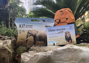 O melhor presente de Natal está no Jardim Zoológico