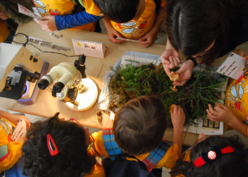 Mostra de Ciência celebra Dia Mundial do Solo na Universidade de Coimbra