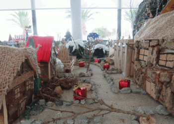 “O meu Natal é Ecológico” em Esposende