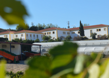 OesteSustentável permite a escola poupar mais de 3.200 euros por ano com a instalação de iluminação LED