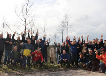 Epson planta 1.300 árvores para ajudar na reflorestação do Pinhal de Leiria