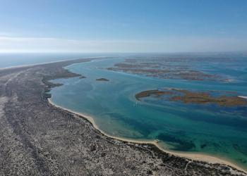 Novo projeto pretende proteger as Ilhas Barreira no Algarve