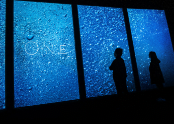 “O Mar como nunca o sentiu” chega ao Oceanário de Lisboa