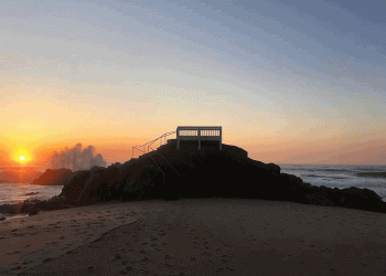 PAN questiona Governo sobre os impactos de indústria metalomecânica em Vila do Conde