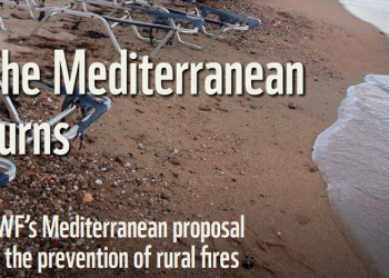 ANPlWWF, ISA e AGIF debatem novo Plano de Gestão de Fogos Rurais com ONGAS