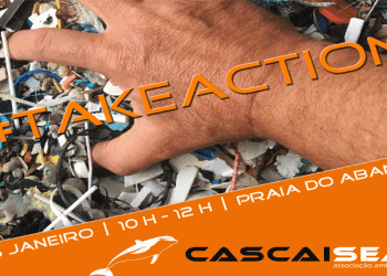 Nova associação ambiental quer combater o flagelo do lixo marinho em Portugal