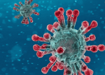 ASPEA partilha mensagem de apoio em período de confinamento