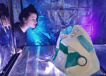 “Plasticus” promove sensibilização ambiental por um oceano livre de Plástico