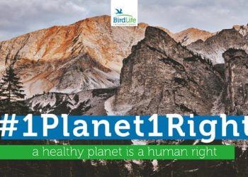 Dia da Terra: BirdLife envia carta à ONU para declarar o ambiente natural saudável como um direito humano