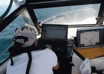 Projeto jUMP lança iniciativa pioneira em Portugal para monitorização do ruído submarino