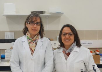 Investigadores da UC utilizam resíduos do fruto da nogueira para o combate a nemátodes parasitas de plantas