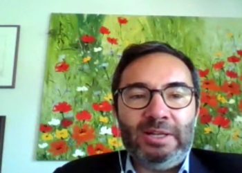 Crise climática: “Aprendemos com esta crise que interferimos demasiado na Natureza”