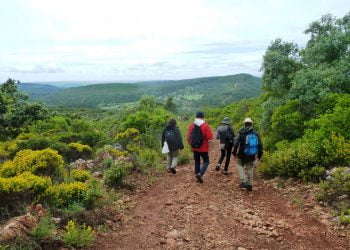 Loulé desafia população no Dia Internacional da Biodiversidade