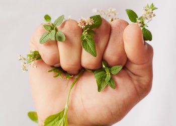 Programa “L’Oréal Para o Futuro” inclui 100 milhões de euros dedicados a investimentos de impacto ambiental