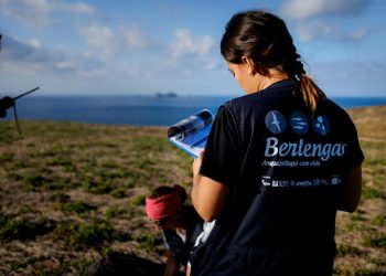 LIFE Berlengas entre finalistas do Prémio Europeu Natura 2000