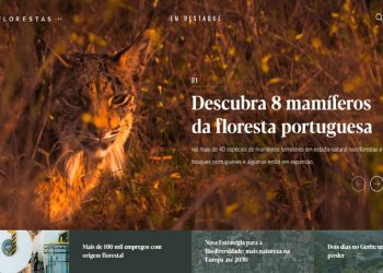 “Florestas.pt” é o mais recente “centro de comunicação” da The Navigator Company 