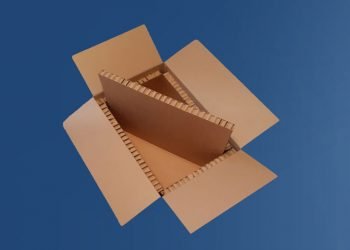 Smurfit Kappa concebe Thermo Box, solução de embalagem sustentável para alimentos congelados