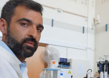 Investigadores querem tornar viável a produção de “caviar português” em aquacultura