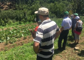 Arouca Agrícola incentiva a melhores práticas agrícolas em prol do meio ambiente