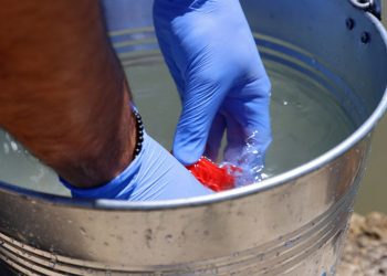 Praias do Barreiro monitorizam qualidade da água