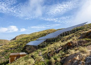 Berlenga Sustentável: EDP Distribuição leva energia renovável para a ilha