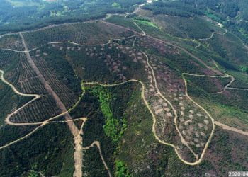 Iberdrola: Medidas Compensatórias de Fauna e Flora do Sistema Eletroprodutor do Tâmega