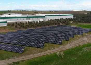 Nova Delta instala 800 painéis solares em Campo Maior