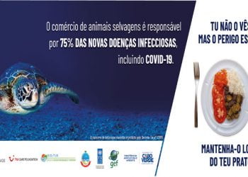 Associação lança campanha contra captura e consumo ilegal de espécies marinhas em Cabo Verde