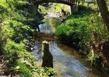 Lipor promove Serviços dos ecossistemas com um valor gerado de pelo menos 12 vezes superior ao investimento realizado