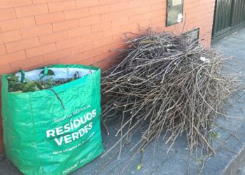 Espinho bate recorde mensal de resíduos verdes recolhidos seletivamente no município