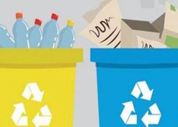 Recolhidas mais de 25 toneladas de embalagens e mais de 34 toneladas de papel em Vila Franca de Xira