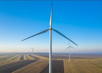 Grupo Ingka vai investir 600 milhões de euros em sustentabilidade