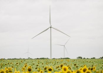 Signify utiliza eletricidade 100% renovável em todas as operações que tem pelo mundo