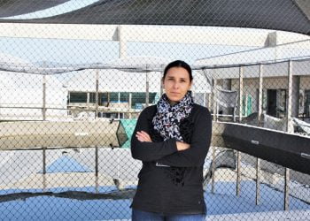 Aves marinhas fortemente afetadas por lixo da pesca, alerta estudo