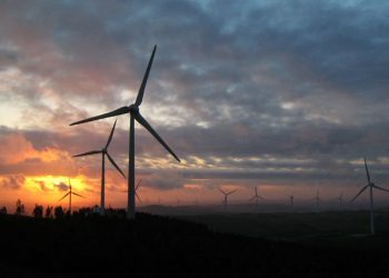 OesteSustentável:  Uma década em prol da sustentabilidade na Região Oeste