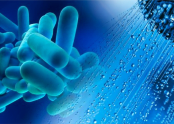 Redecor: Implementação de planos de prevenção e controlo de Legionella em edifícios