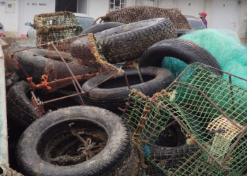 Docapesca retira 70 metros cúbicos de resíduos dos fundos do porto de pesca de Sines