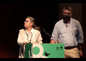 “Qualidade do ar exige trabalhar com políticas de alterações climáticas e com políticas energéticas”, defendem especialistas