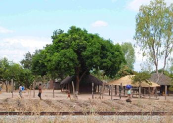 EDP renova fundo para apoiar projetos de energia limpa em países em desenvolvimento