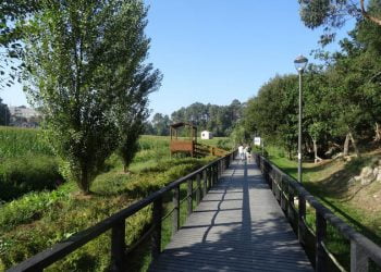 Lipor gera valor 12 vezes superior ao investimento realizado em Serviços dos Ecossistemas 