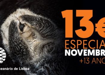 Oceanário de Lisboa promove “Novembro Especial” para visitantes com mais de 13 anos
