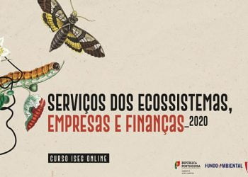 ISEG lança primeiro curso online sobre Biodiversidade, Empresas e Finanças