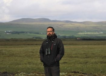 “Aquecimento global no ártico coloca animais que lá habitam na linha da frente dos efeitos das alterações climáticas”, diz estudo da UA