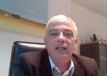 ICNF defende “criação de corredores de arborização” e reforço das “áreas arborizadas” no combate à desflorestação