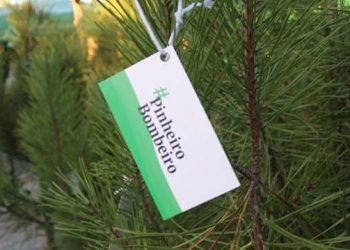 Pinheiro Bombeiro está de regresso e conta com mais parceiros