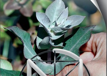 Fórum de Sustentabilidade da Navigator tem como tema central Capital Natural e a sua importância nas comunidades locais